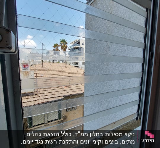 רשת יונים מותקנת על חלון למניעת כניסת יונים